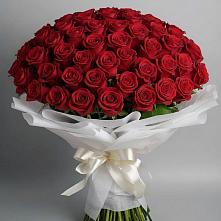 Букет 101 Красная роза Блэк Мэджик в Айдарово