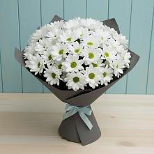 Букет цветов из:  Хризантемы #REPLACE_PRED# Айдарово