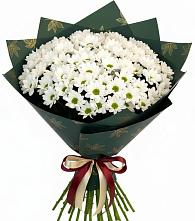 Букет цветов из:  Хризантемы #REPLACE_PRED# Айдарово