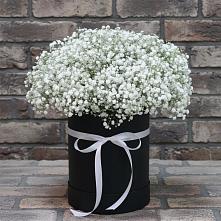 Цветочная композиция из Гипсофила в шляпной коробке в Айдарово