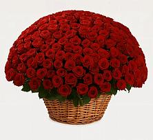 Премиум букет из: Розы в Айдарово