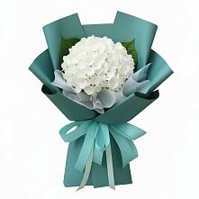 Букет цветов из:  Гортензия в Айдарово